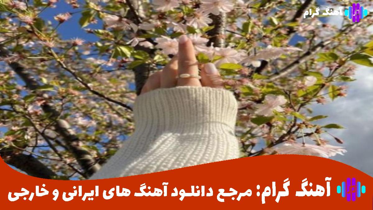 کاور آهنگ چه قشنگ از هایده و محسن چاوشی و شایان جهانشاهی 